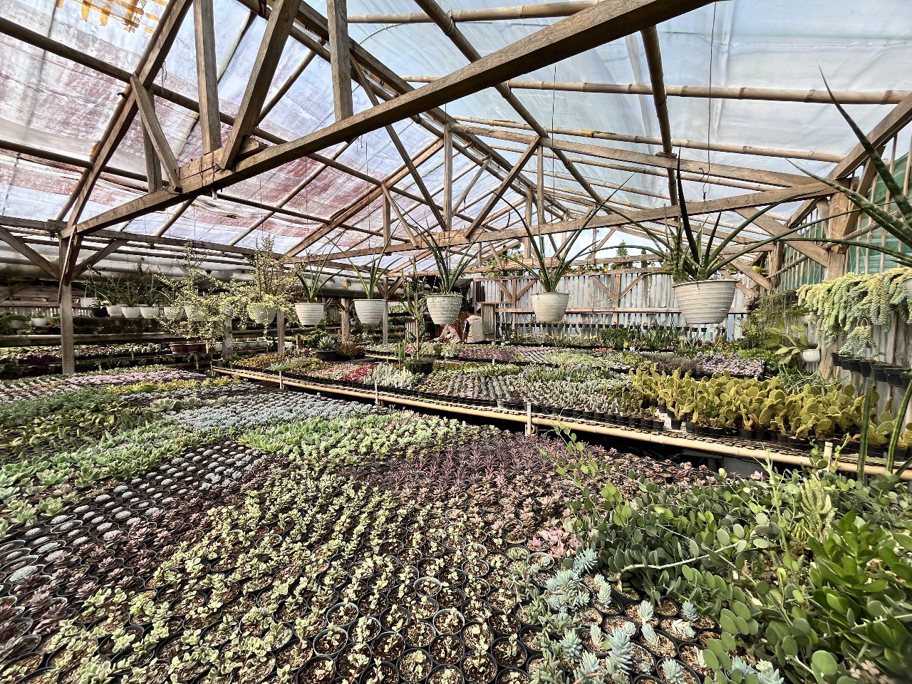 Kebun Arza